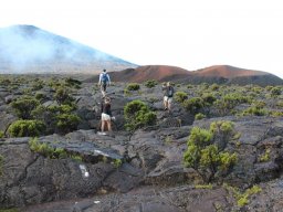 Vis et Lutz : Nos premiers visiteurs !
